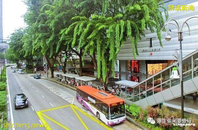 新加坡拍照圣地