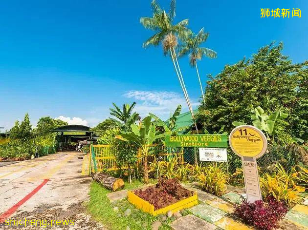 周末帶娃去徒步!10米高木塔、農場、木棧道,湖天一色好美