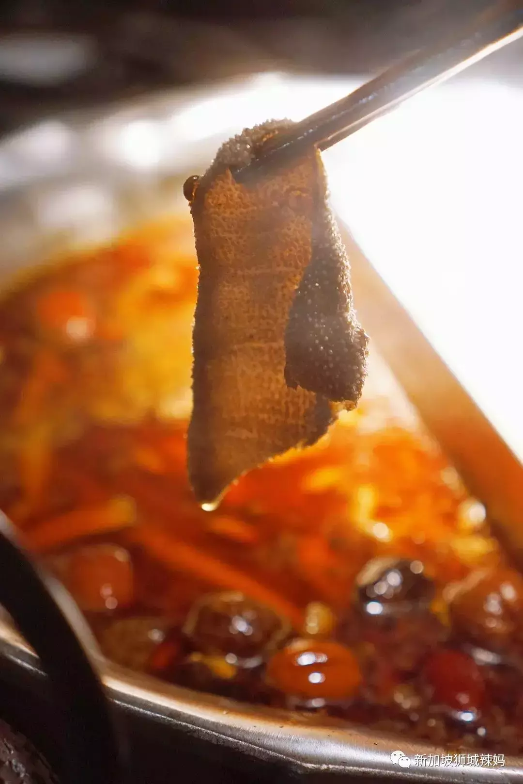 排队5小时!网红凑凑火锅来新加坡了!锅底无限续、奶茶免费喝!菜品大曝光