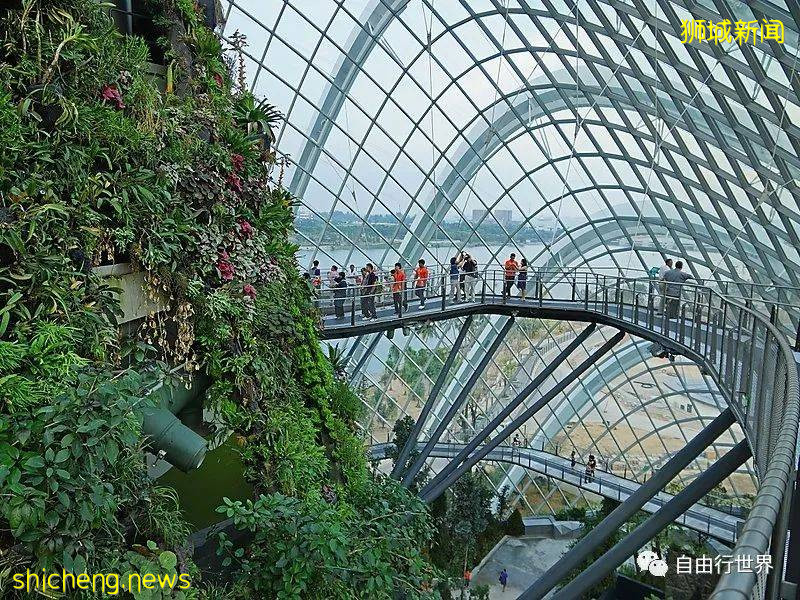 疫情過後,去新加坡不可錯過的16個體驗!