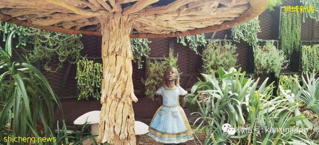 新加坡親子好去處！濱海灣～花穹～雲霧森林～空中步道半日遊