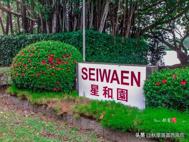 新加坡把中国园林和日本庭院造一起，谁更像传统中国呢