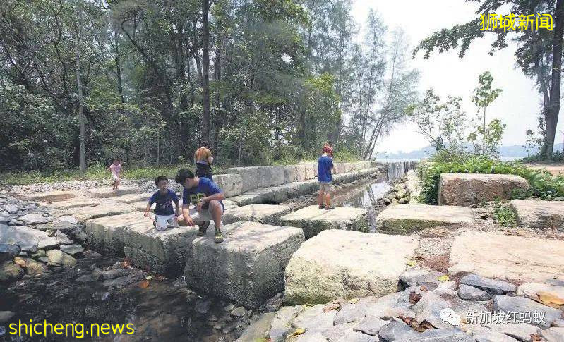 新加坡其实有两个虎豹别墅,其中一个就建在这个未开发的小岛上