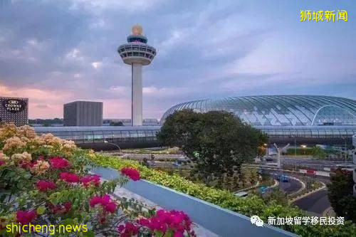 【生活資訊】最新 入境新加坡攻略 香港、澳門現可申請旅遊簽