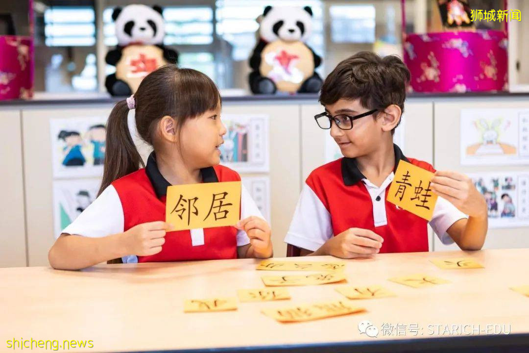 一天英文、一天中文的教学模式你见过吗?这所学校的中英教育受用终生