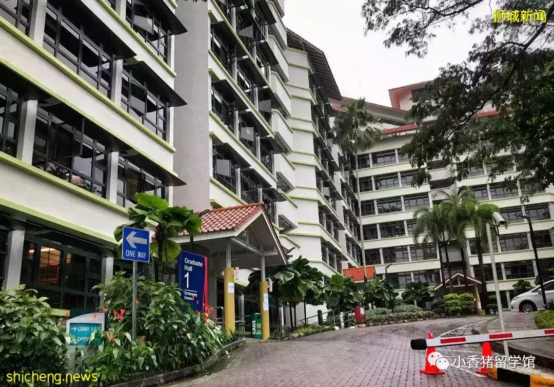 新加坡留學校內住宿：如何get限量版好房