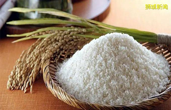 走進新加坡（一）