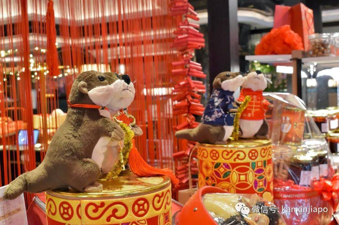一群水獭惊现新加坡酒店,带娃带情侣开启超萌宅度假