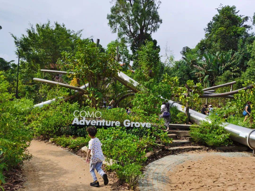 新加坡植物園爆火新景點,不知道怎麽去?手把手教你遊玩攻略