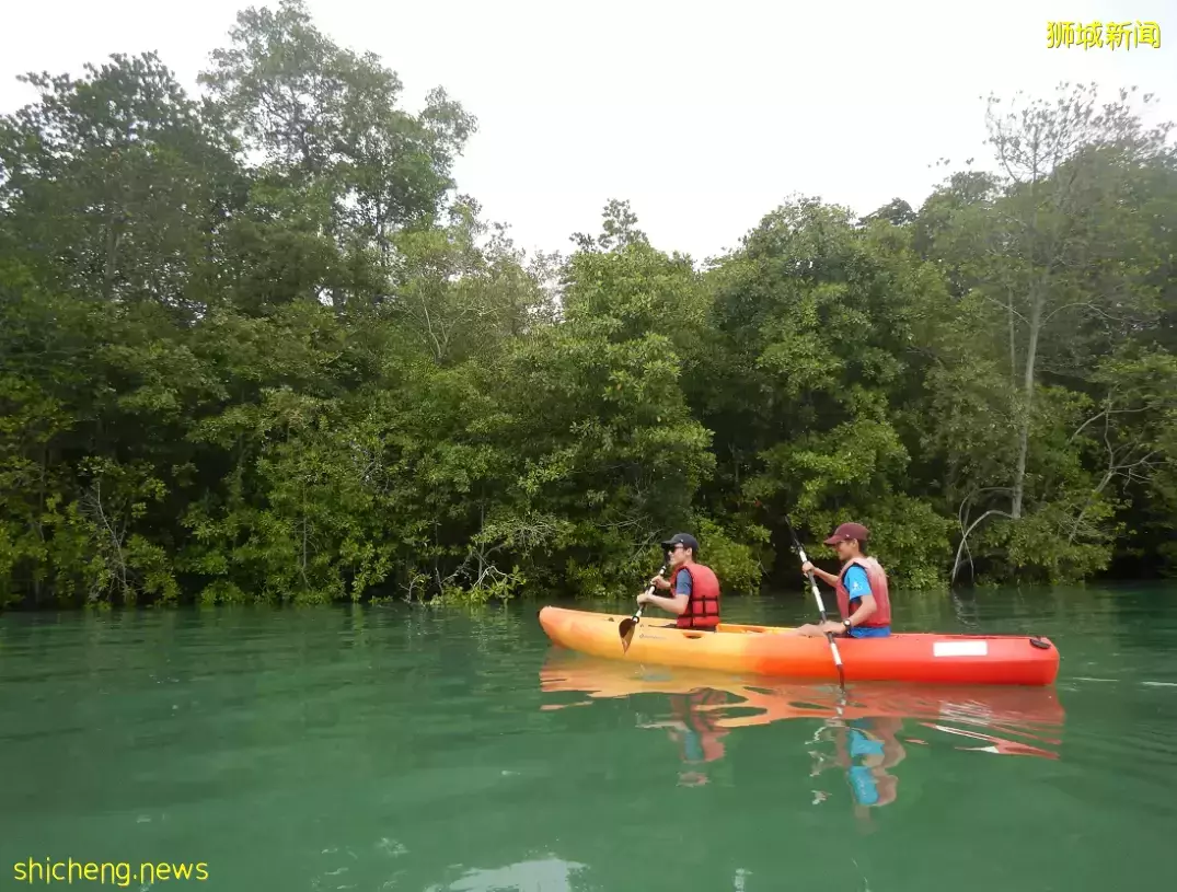 榴梿、野豬、猴子、各種魚蟹……體驗“新加坡最後的農村”
