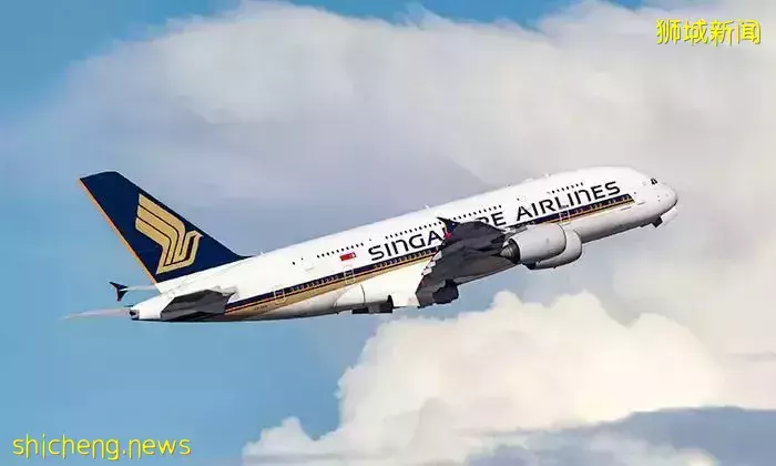 “从上海外企高管变身新加坡全职妈妈,这一路我是怎么过来的?”