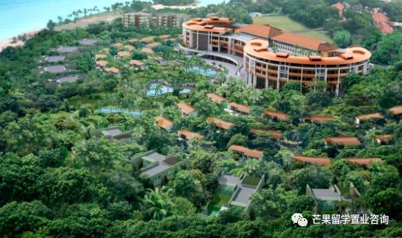 新加坡超人气民宿