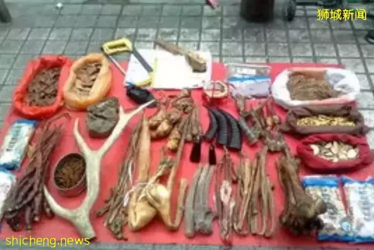 新加坡67岁安哥花近两万壮阳结果...网友安慰：幸亏没有丁毁人亡