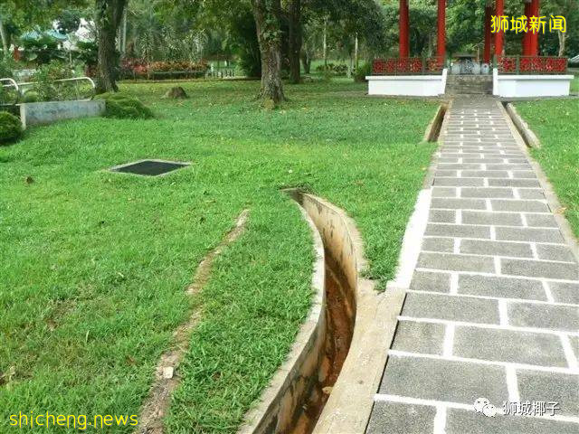 今天,新加坡被大暴雨淹沒了!