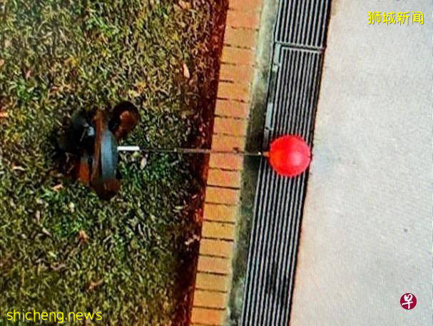 涉抛拳击球下楼 · 青年被控