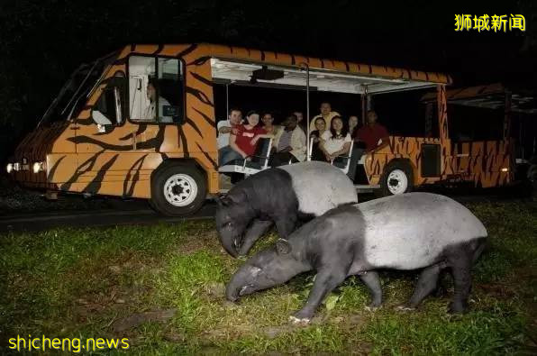 新加坡最全旅游攻略