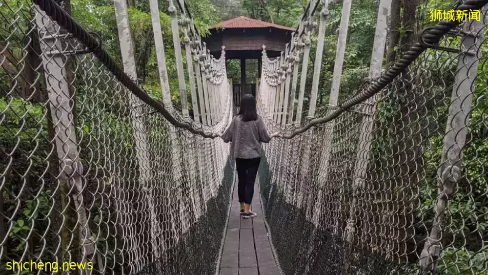 裕廊飞禽公园火烈鸟Staycation,现已开放预订!2天1夜活动超精彩,近距离与小动物互动接触🦩