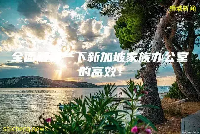 全面解析一下新加坡家族办公室的高效