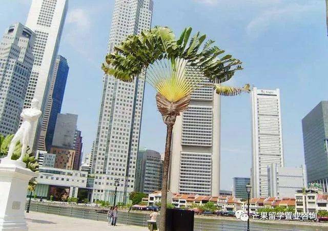 新加坡留学有关的签证有哪些