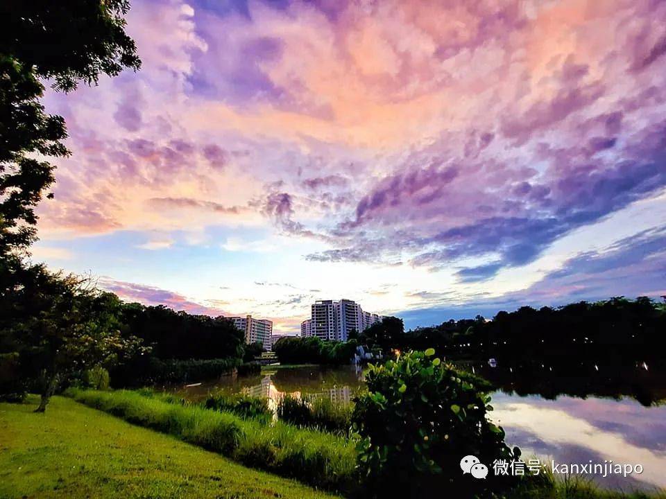 新加坡清晨出現粉紫色“神仙”天空!大波美圖驚豔全島