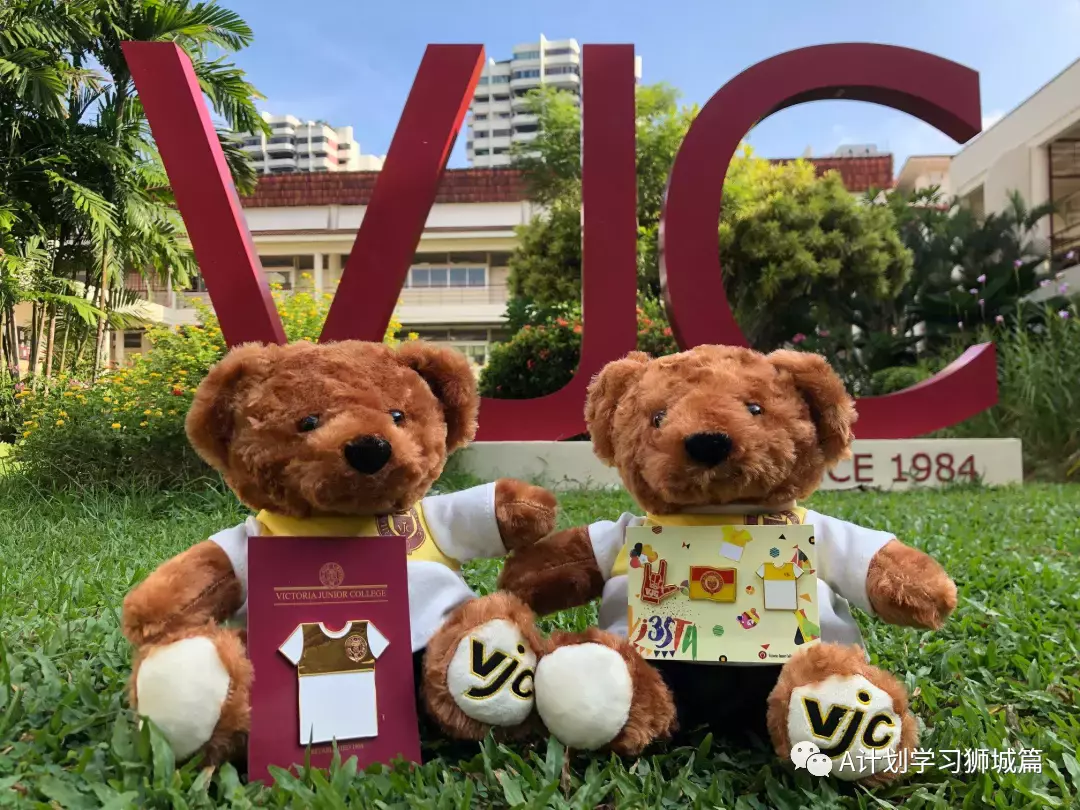 新加坡各初院申请明天开始,汇总近几年初院O考录取截分点及A/IB成绩,供报读的学生参考