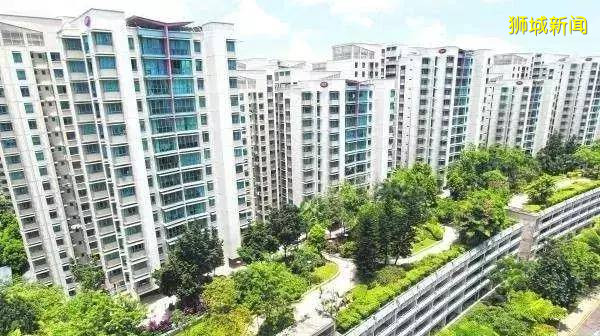 劃重點！新加坡這8個新政條條與你相關