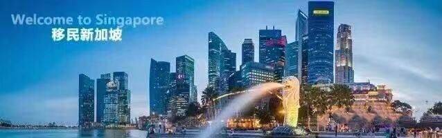 【新加坡资讯】新加坡各准证简介