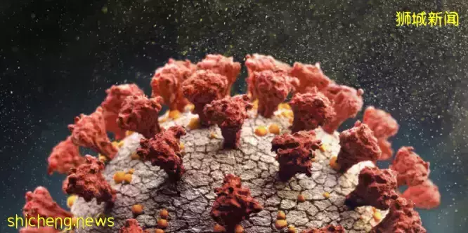 新加坡一日暴增近6000例,部長收到警告成密接者,大量航班被砍