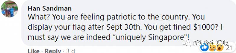 新加坡政府澄清可以繼續挂國旗不會被罰款　網民：條規也翻煎餅