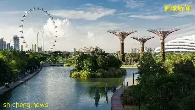 新加坡SP和EP准证升级! 外国人工作难找，本地出现用工难