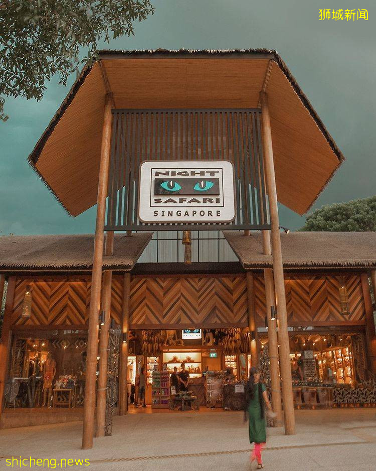 夜间野生动物园门票40%折扣！优惠即日起直到11月17日、限时订购快来抢🎫 