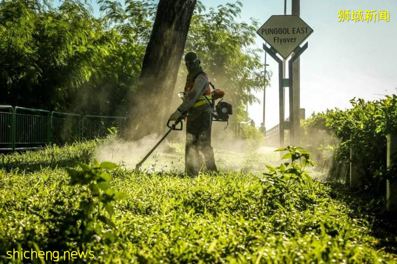 新加坡“初解封”首日，是什麽樣子呢!