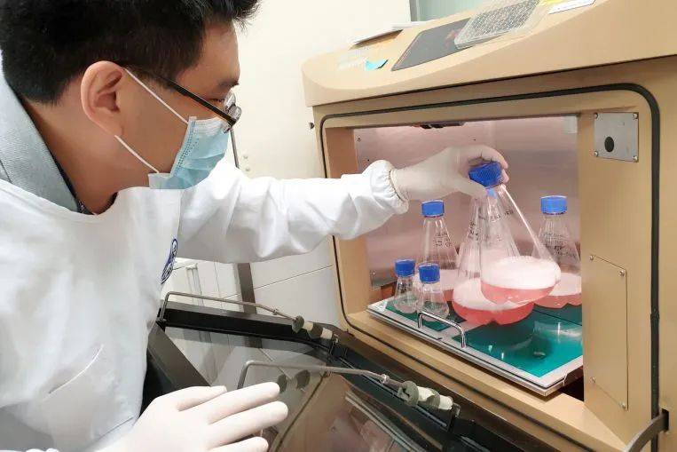 再也不用戳鼻孔！新加坡发明的超舒适新冠检测方法来啦