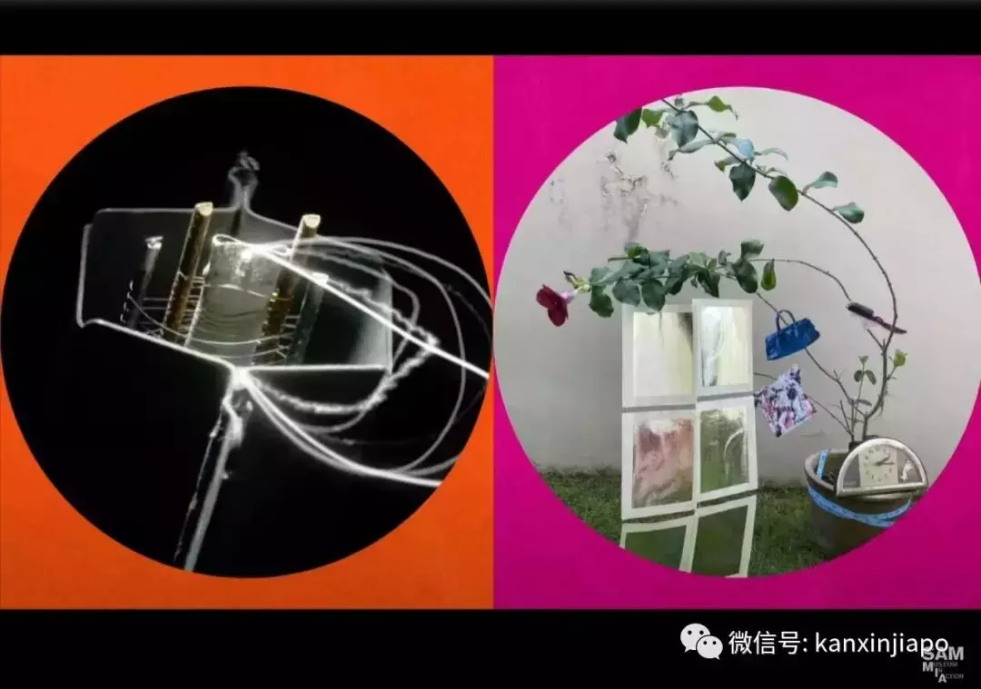 新加坡当代艺术有了国家级的新地标了