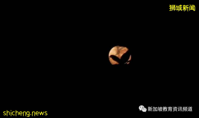 NTU·风景成诗 我的新加坡留学生活