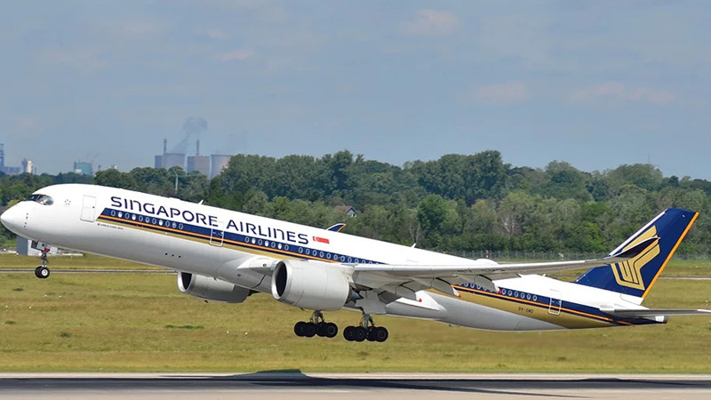 “全球最長航線” 重啓!新航:11月9日起可直飛美國紐約