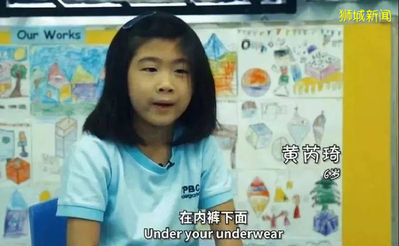 惊!国内难以启齿的问题,在新加坡竟公然开课