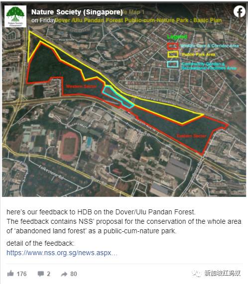 新加坡這片森林被標記爲住宅用地　四天內超過3萬人簽名請願留住森林
