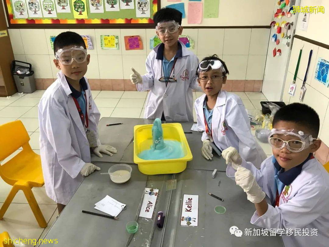 【留學資訊】新加坡政府中小學 入學考試AEIS/S AEIS報考年齡要求 .