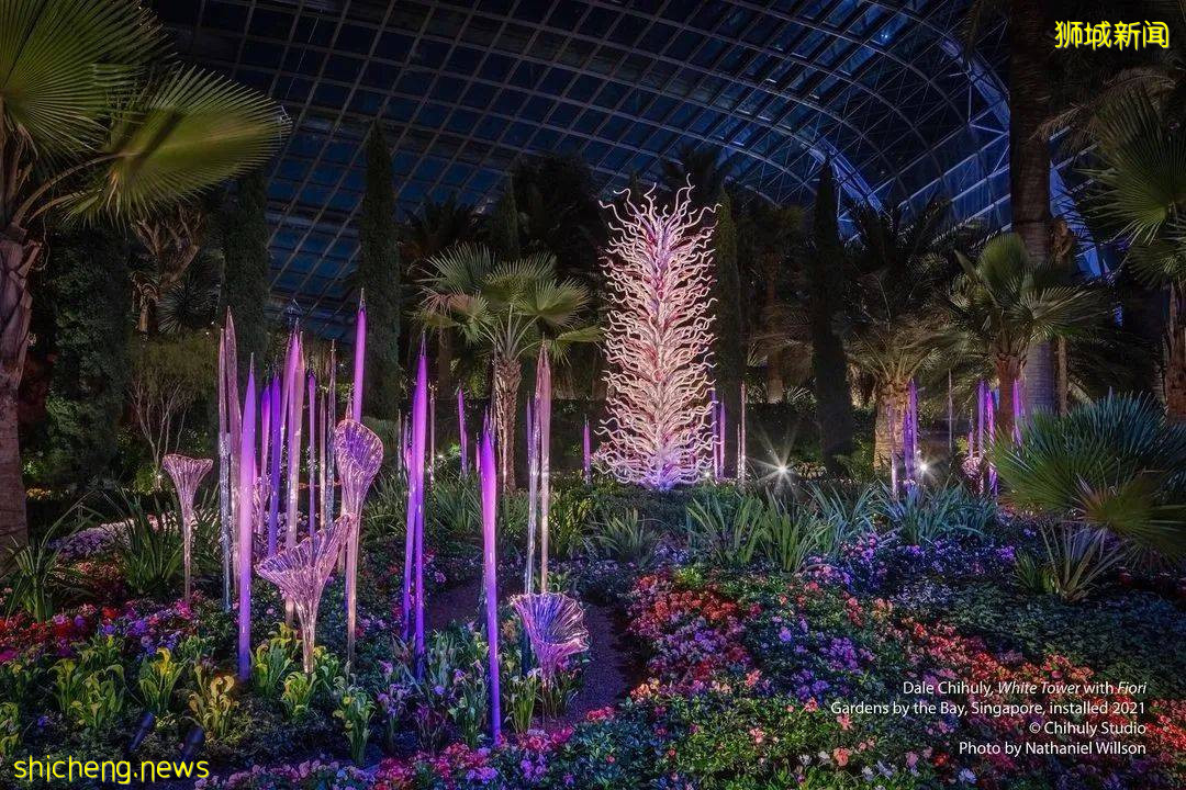 【周末去哪】濱海灣ins風展覽，夢幻節日燈飾，酒店買1送1，特價按摩spa