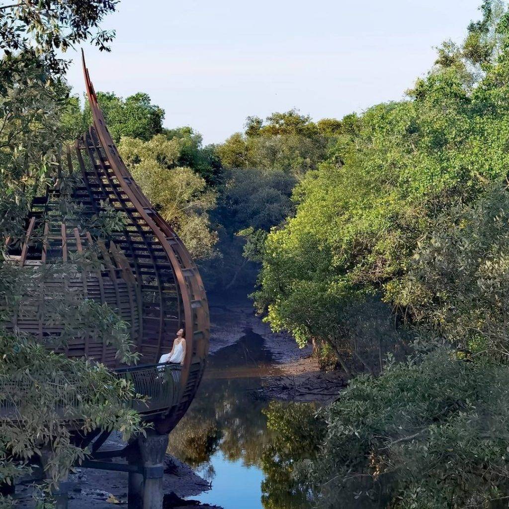 發現這一抹綠💚解鎖新加坡森林系打卡點🌳青翠蔥郁、空靈意境，仙氣爆棚一秒出片⚡