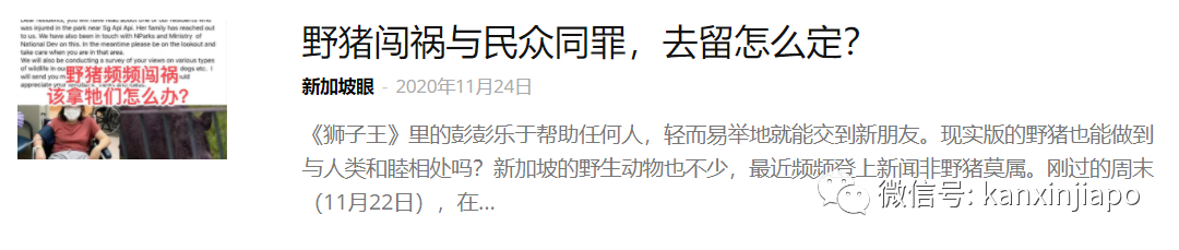 野猪夜闯组屋区紧咬女子腿拖1米后逃跑,目前全城抓捕中