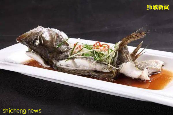 新加坡解封後,遛娃+逛街兩不誤!首家免費“水族館”來了