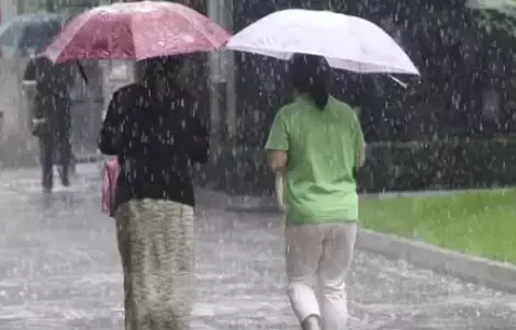“順手牽傘”！新加坡居然還有這樣沒有素質的家夥