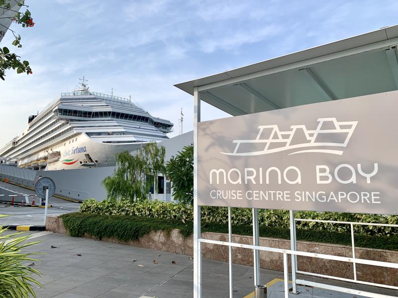 为减少境外输入病例　意法德西旅客禁入境新加坡