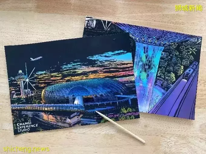 爆火的机场1夜露营又来啦！仅$78还送河川动物园门票