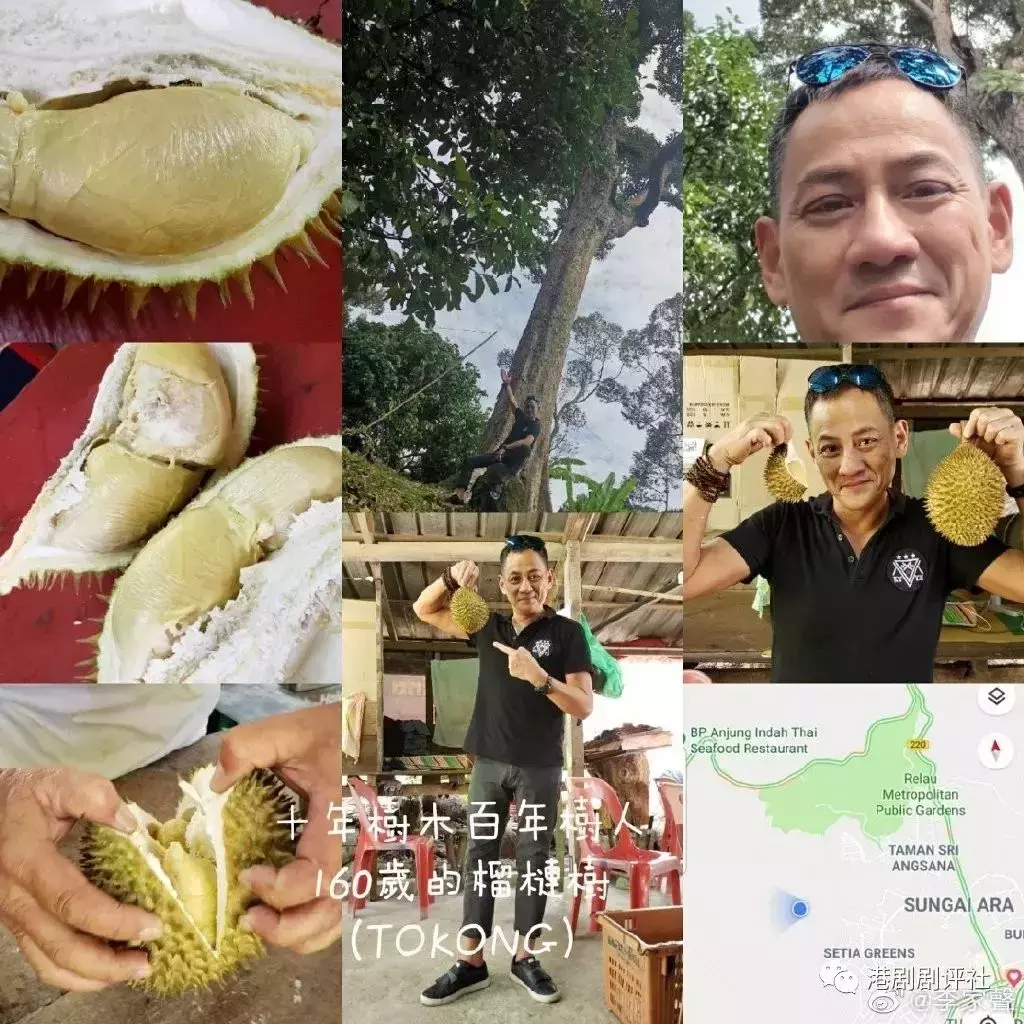 榴梿大豐收!新加坡貓山王下個月只要$12/KG!最好吃的榴梿在馬來西亞這個地方