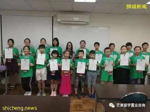 了解新加坡公立/私立/國際學校、理工/藝術/教育模式