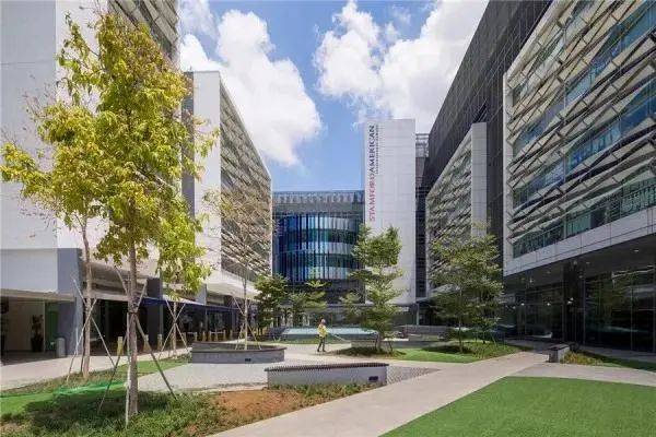 新加坡这么多所国际学校，他们的区别在哪