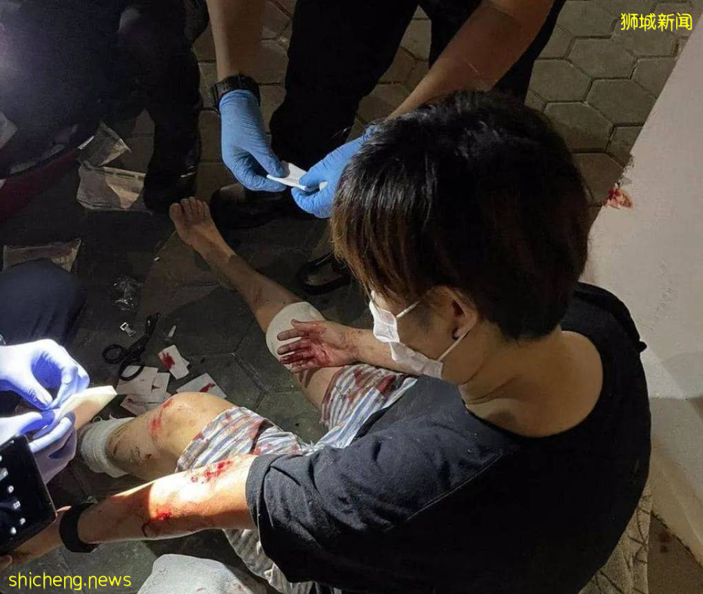 新加坡驚現人臉貓頭鷹！這些恐怖小動物，你碰到過嗎